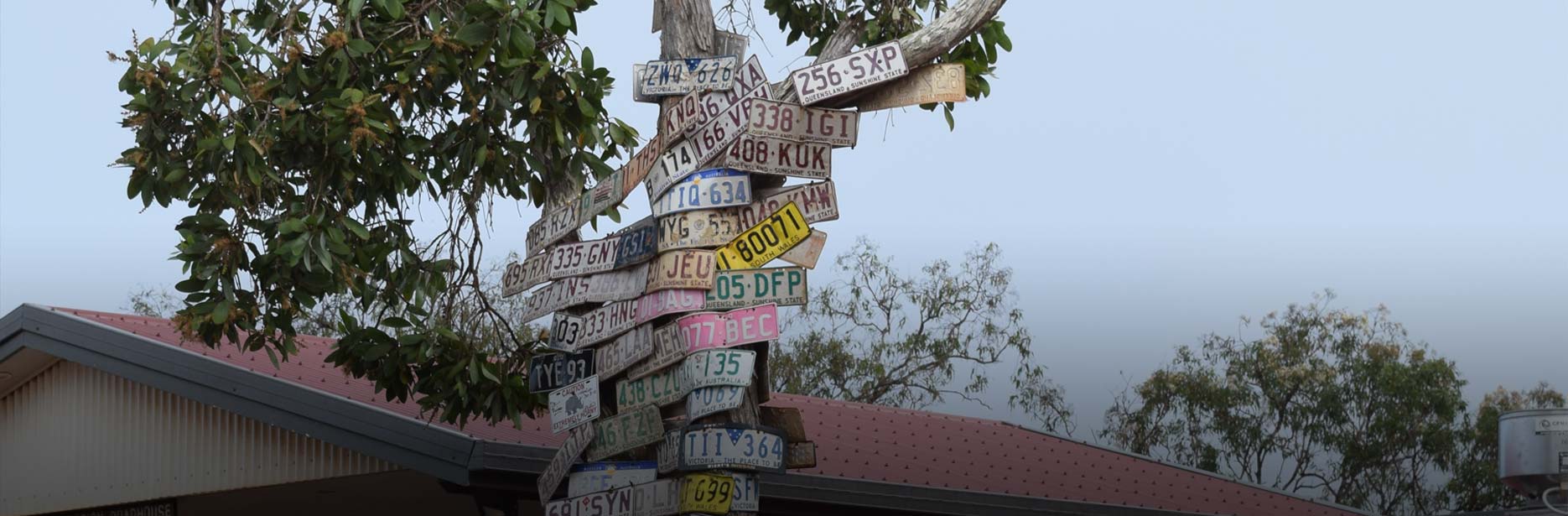 The number plate tree at Bramwell Station in Cape York