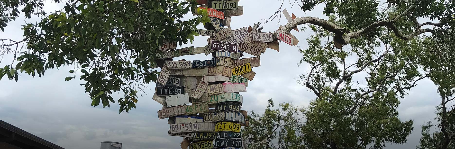 The number plate tree at Bramwell Station in Cape York